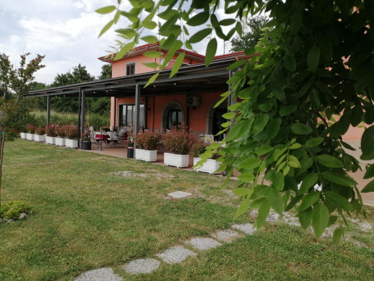 Salisu Country House Mignano Monte Lungo Exteriér fotografie