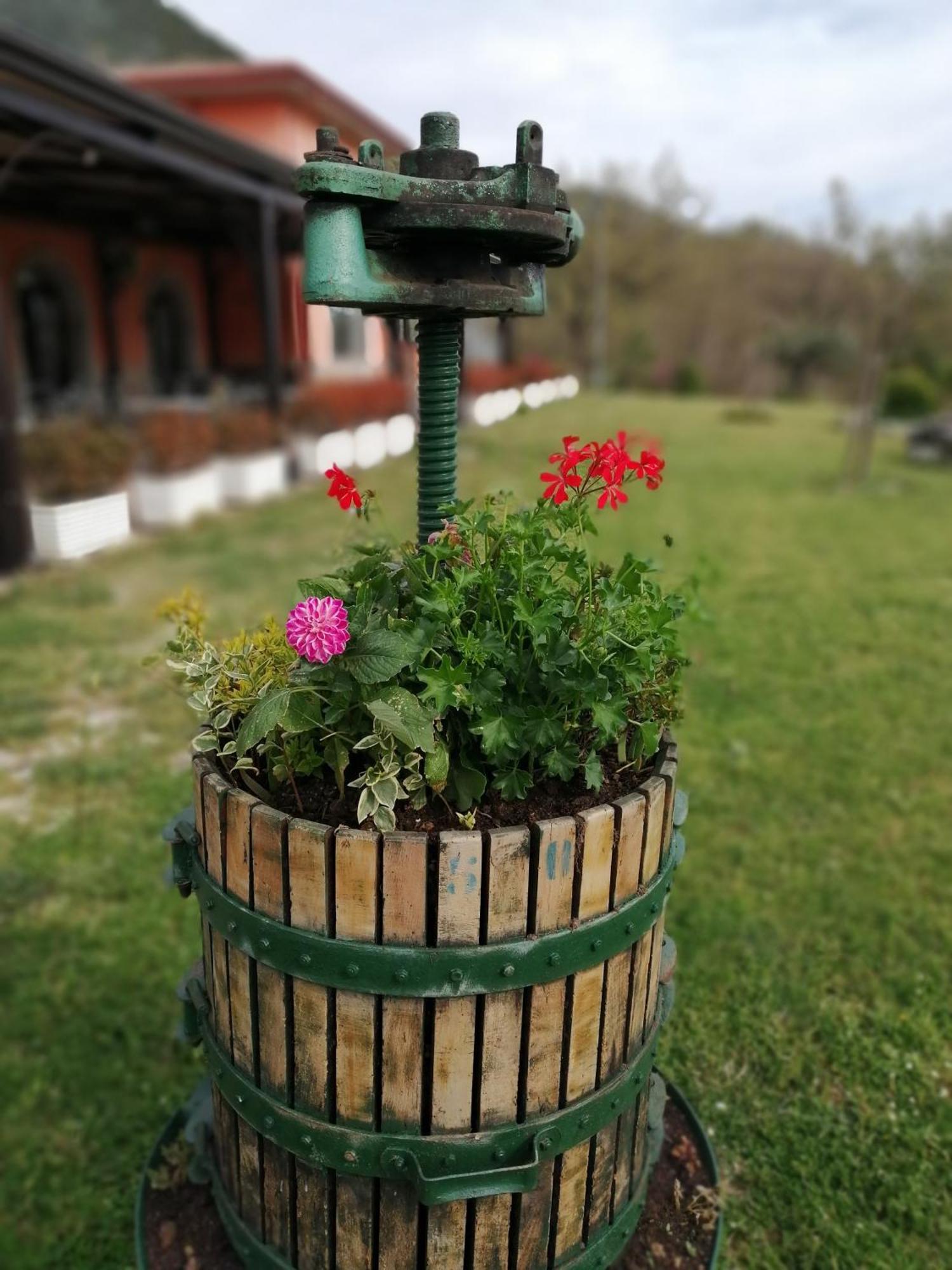 Salisu Country House Mignano Monte Lungo Exteriér fotografie